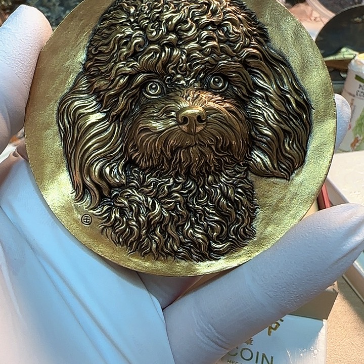 其他普通金属泰迪铜章一枚