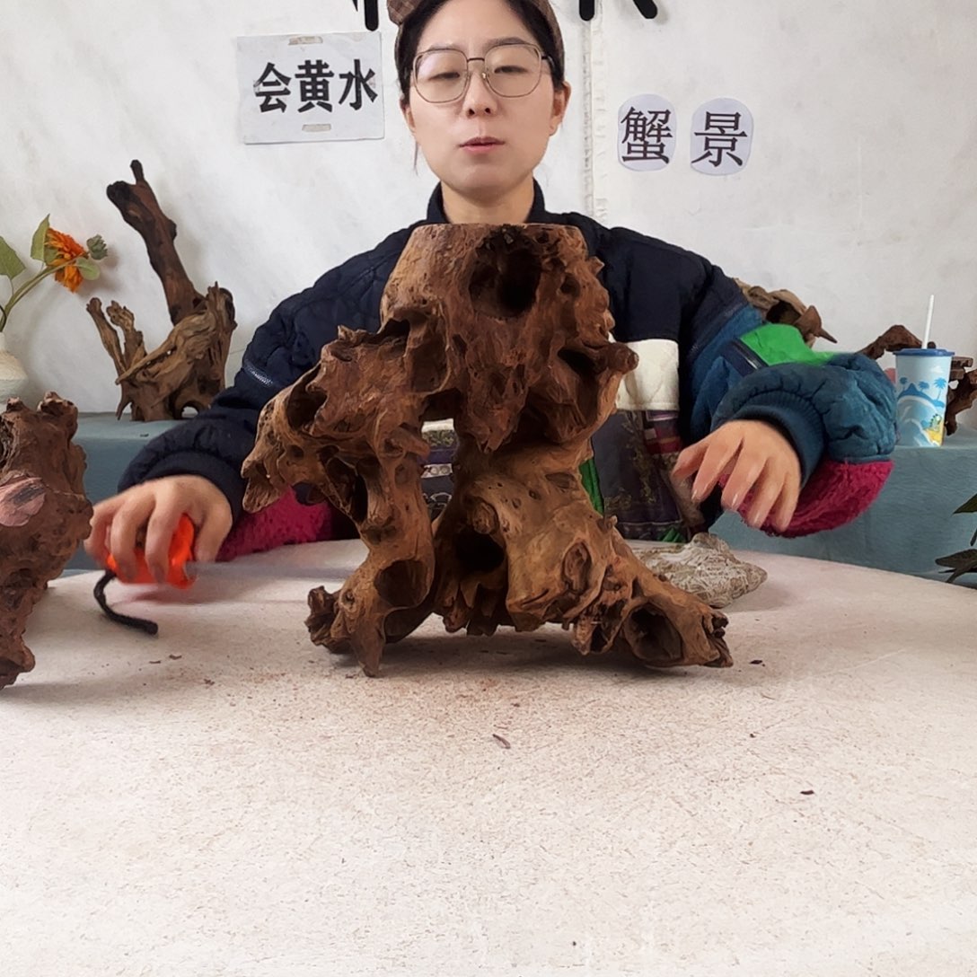 沉木造景爬宠造景