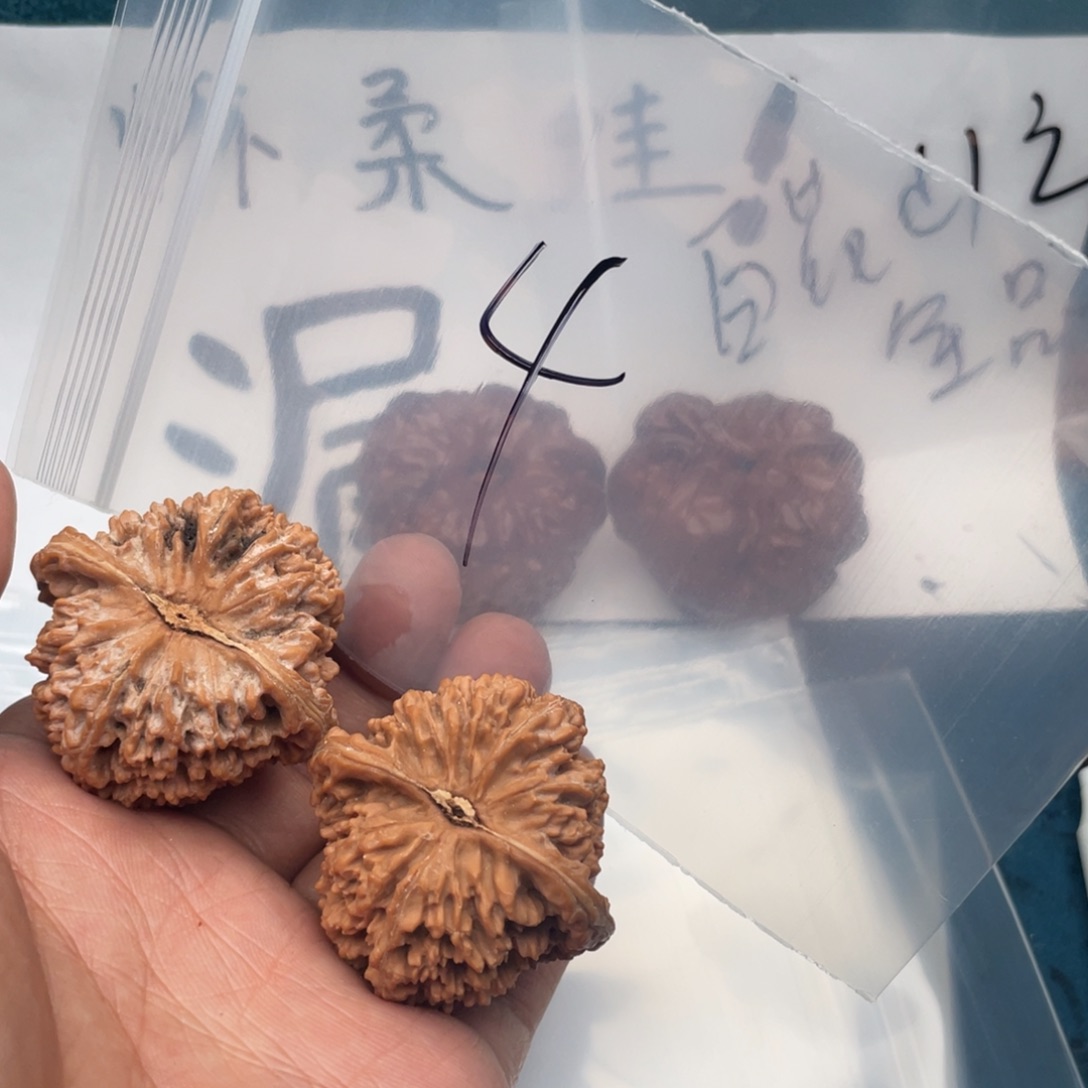 核桃W9649479479794794974974