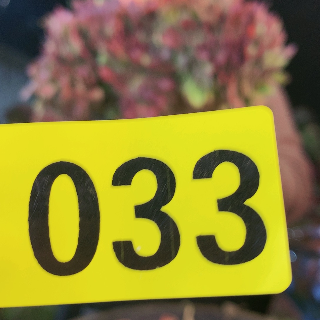 Ssssssssssssssssssss33