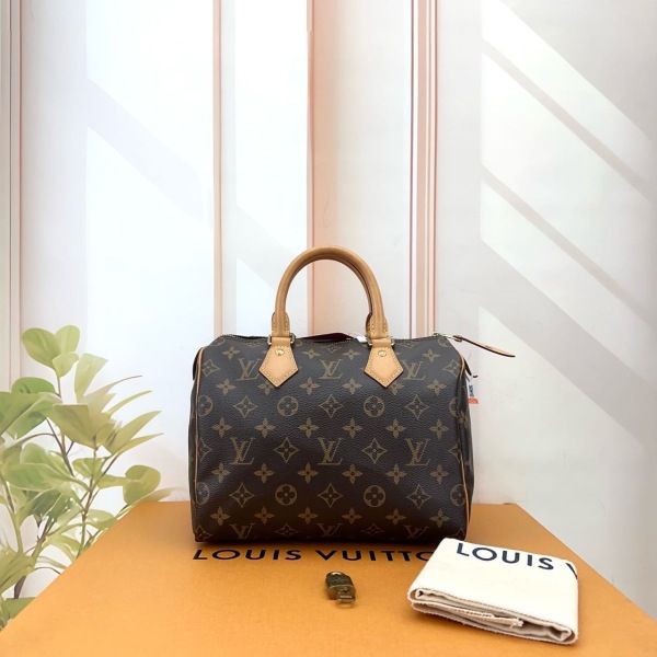 包包/路易威登/95新/250309QR0017