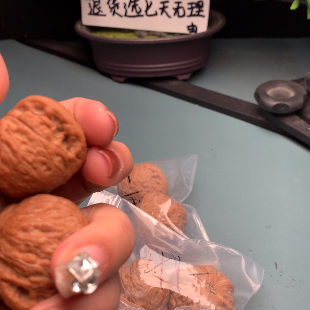 文玩核桃把件全品铁锤4041