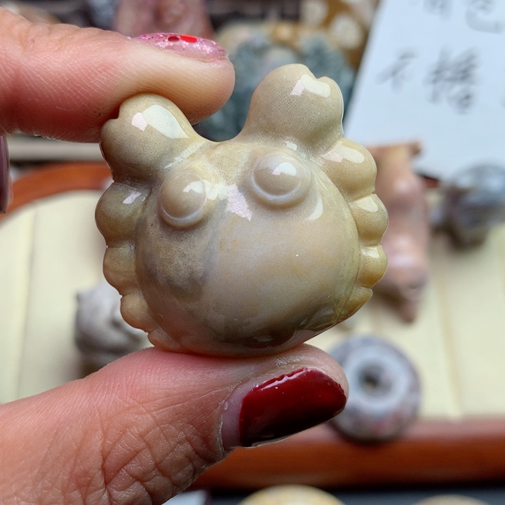 硅化珊瑚（珊瑚玉）颈饰未镶嵌