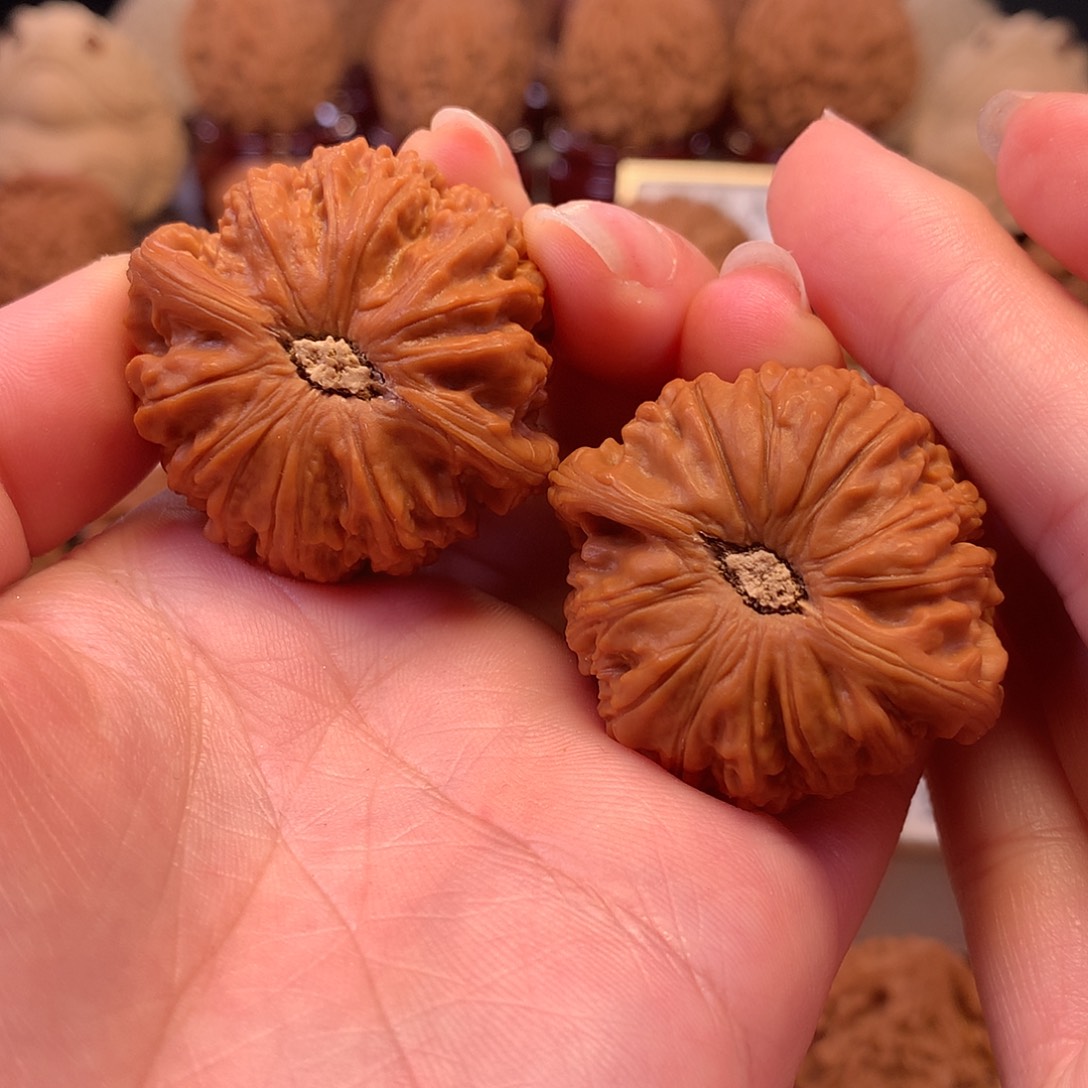 文玩核桃吊坠Z***…白狮子