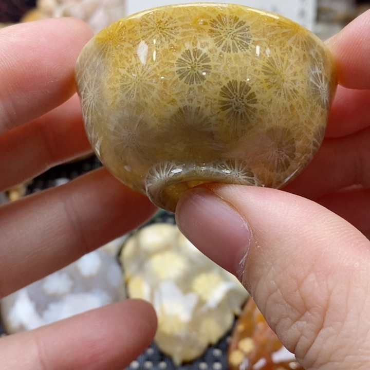 硅化珊瑚（珊瑚玉）颈饰未镶嵌