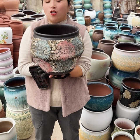 24口24高盆子盆子。