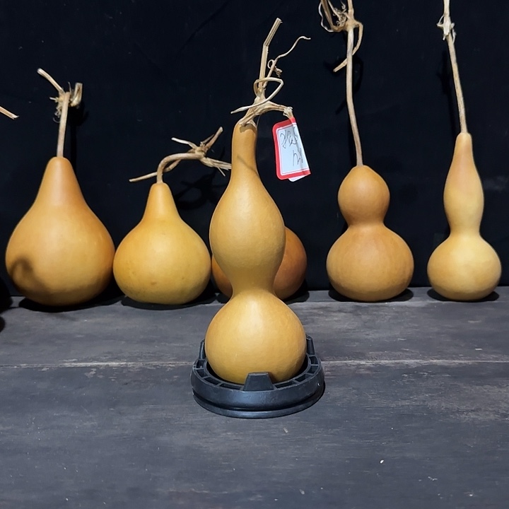 专用链接等功能的产品