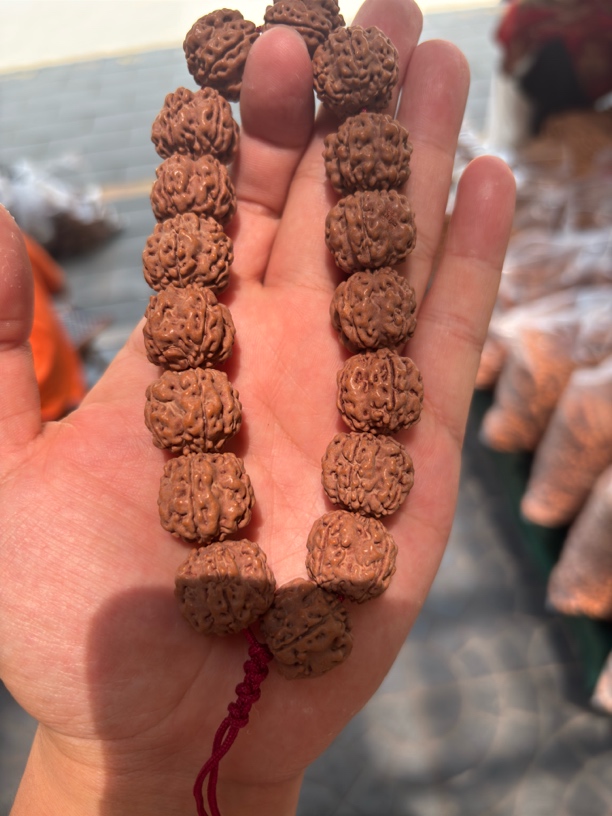 【胖胖甄选】A124小金刚帝王花手持16-18左右尺寸随机发货