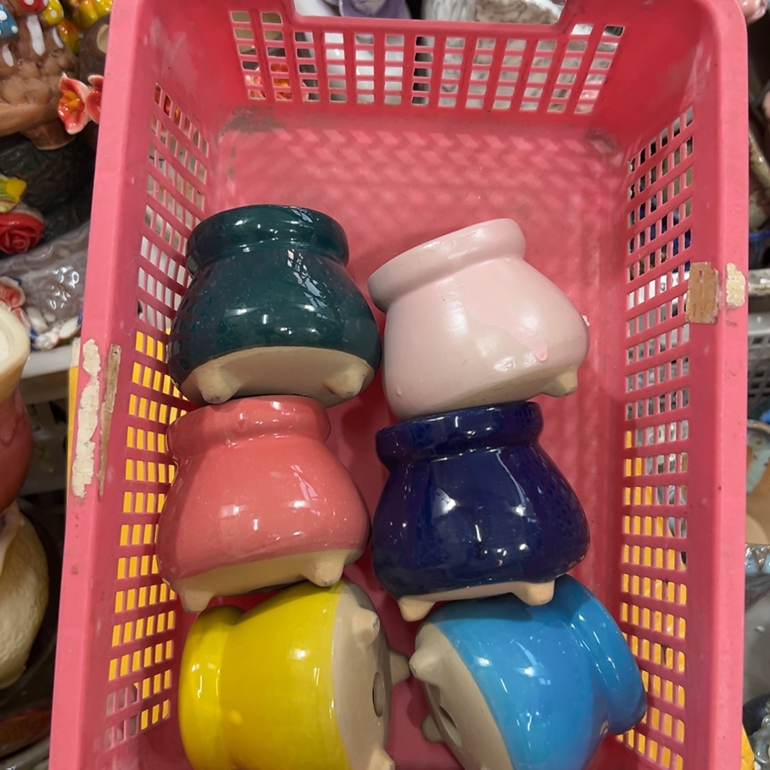 花盆拍满20元发货，退款的拉黑