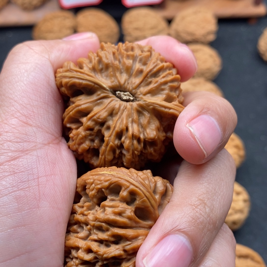 文玩核桃把件菲*好好