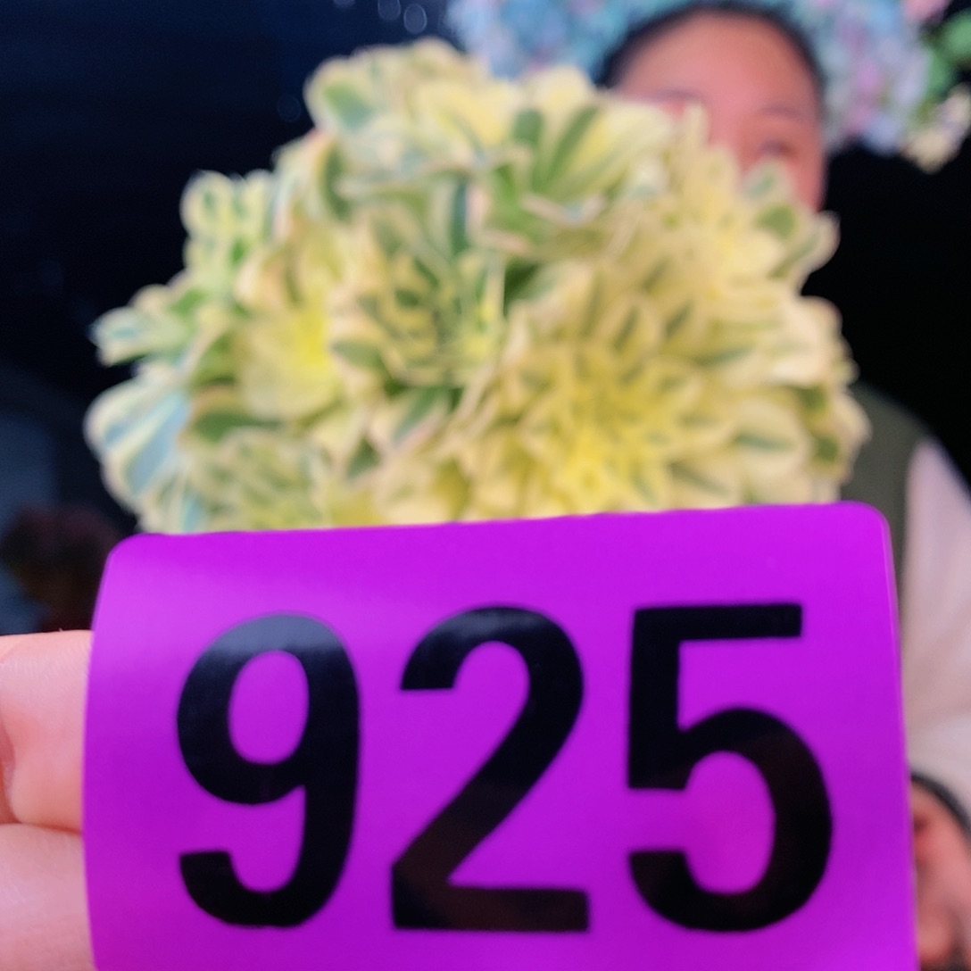 Ssssssssssssssssssssssss925