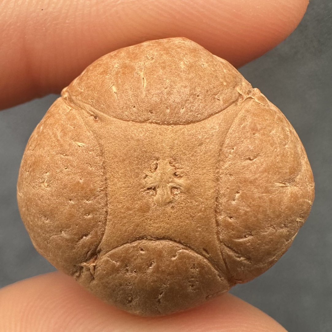 尼泊尔凤眼菩提麒麟眼21.2mm 