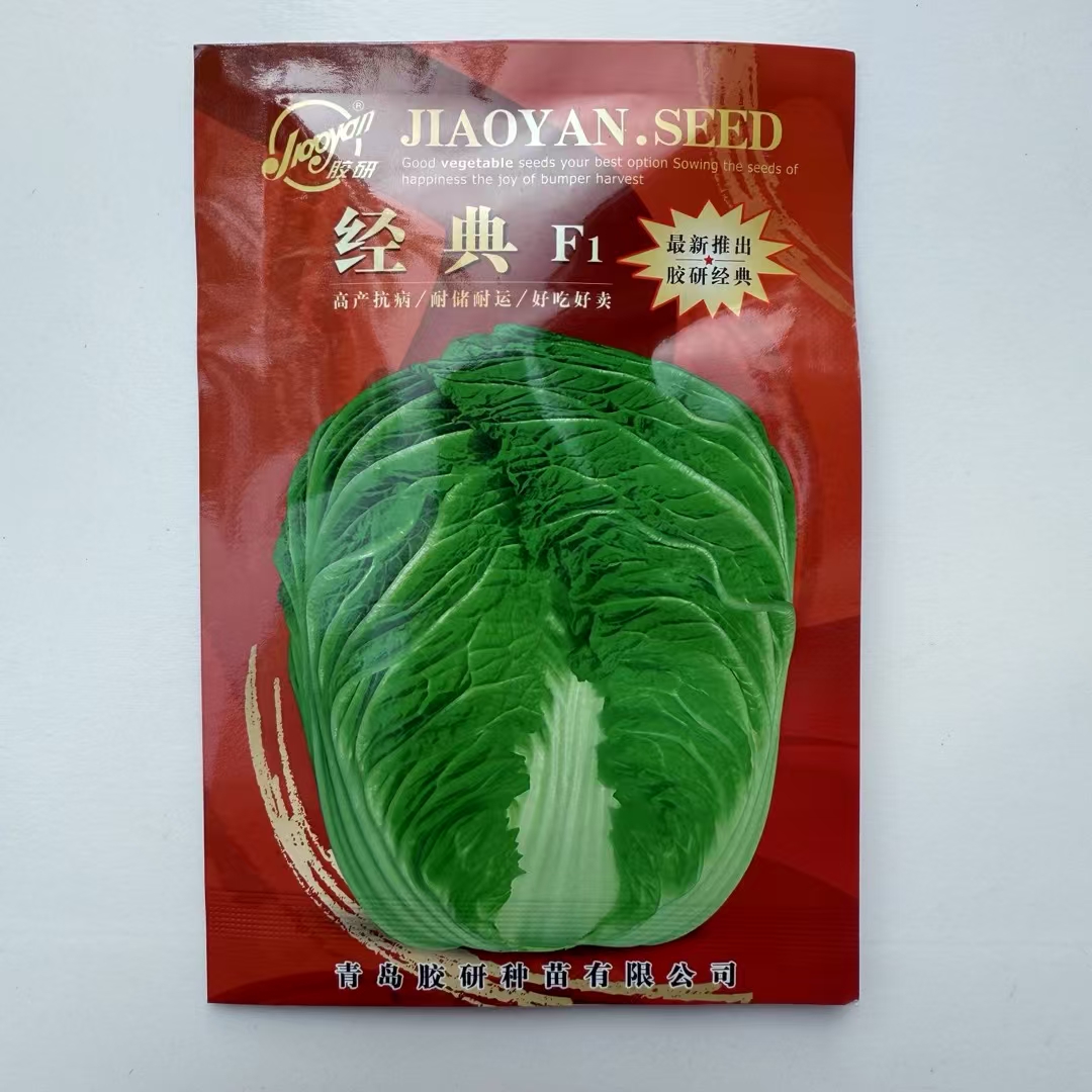 经典绿帮绿叶大白菜种子耐储耐运早熟杂交菜籽