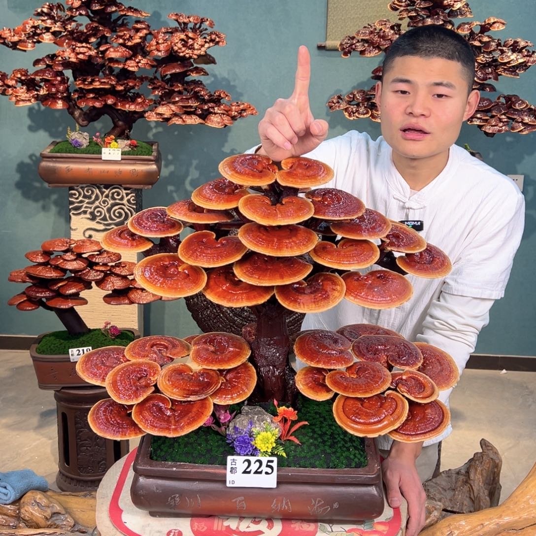 无花朵88888888888