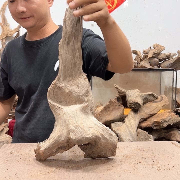 柏木仙****红我们都是好孩子啊我也想