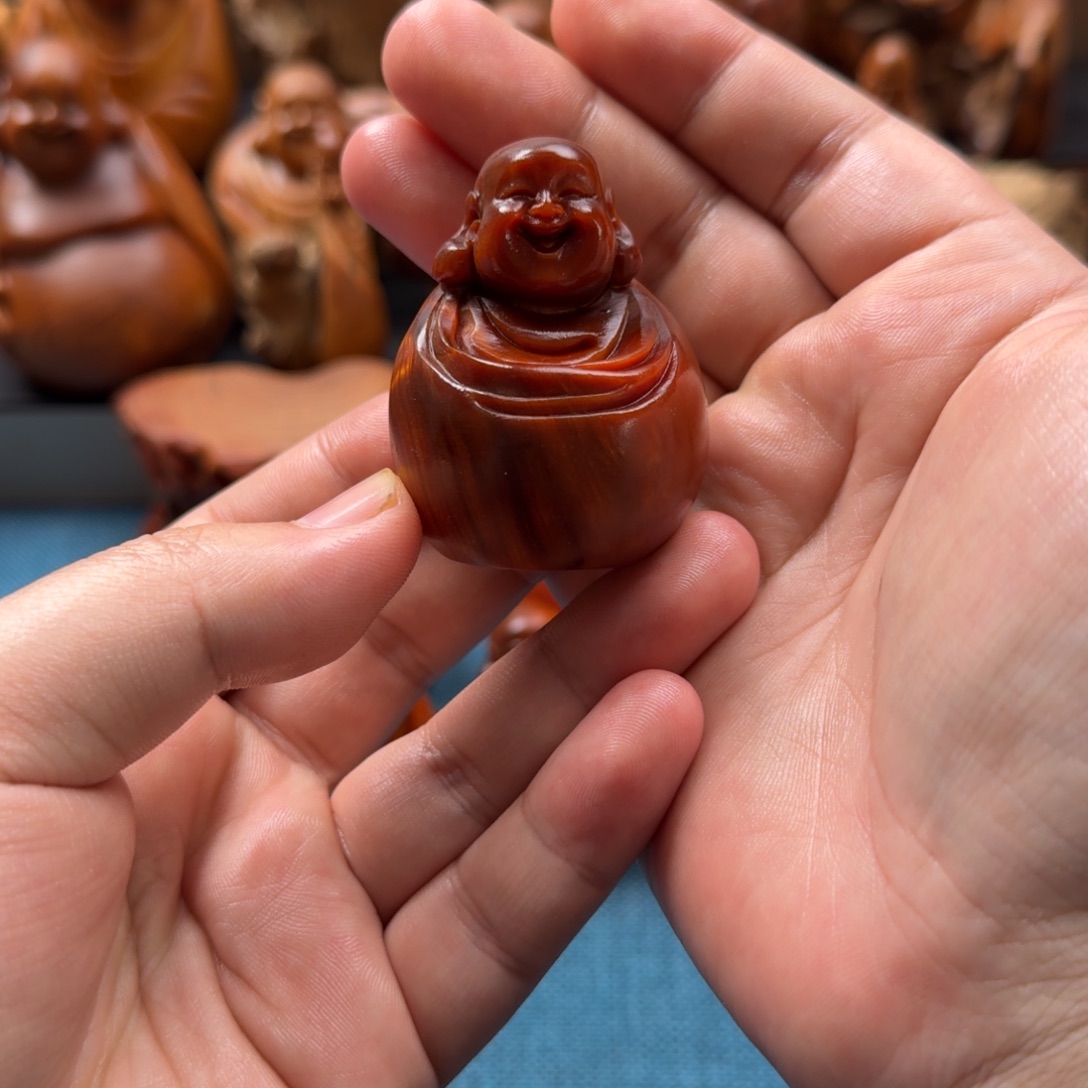 柏木（崖柏）太行崖柏