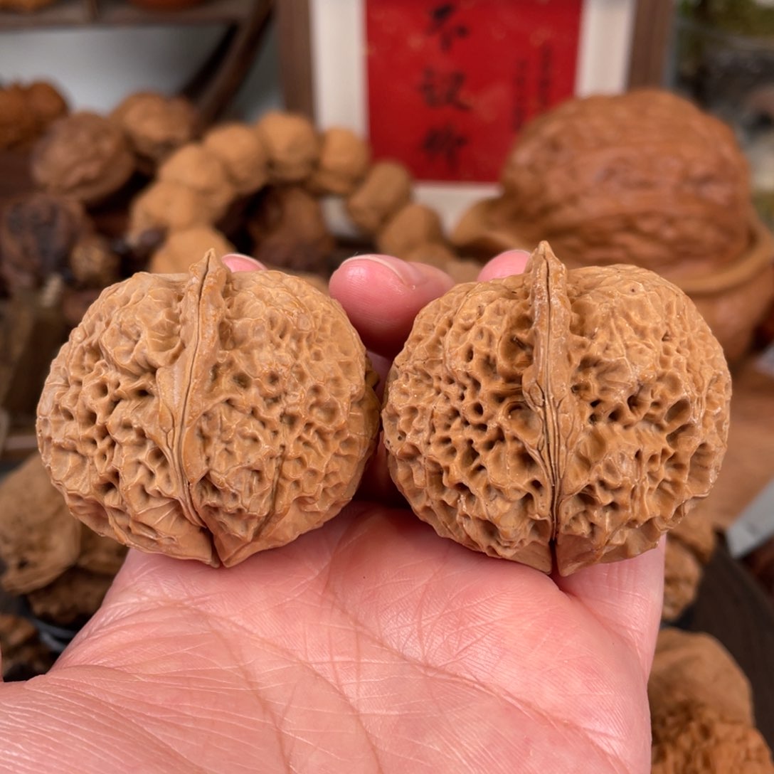 文玩核桃把件蚂蚁王44尺