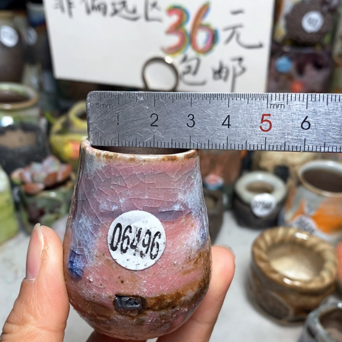 花盆拍5送一个小礼物