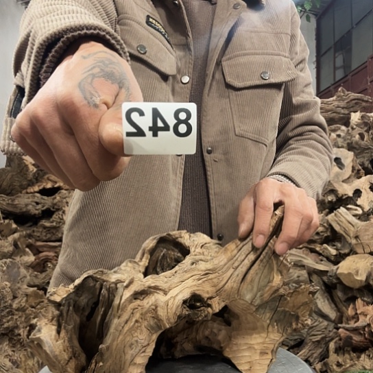 顺紫砂啦啦啦啦啦啦