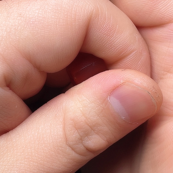 玛瑙/玉髓如图未镶嵌@**令