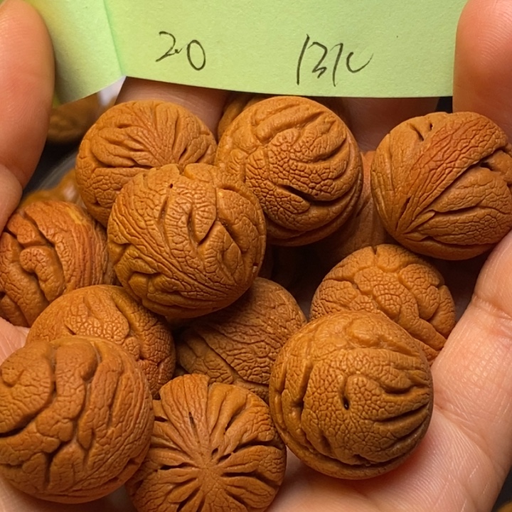 桃核吊坠秦岭龙纹桃核20尺寸