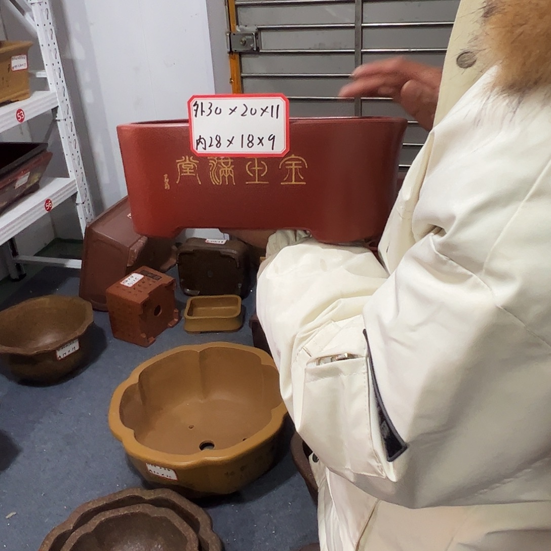 紫砂其他紫砂花盆