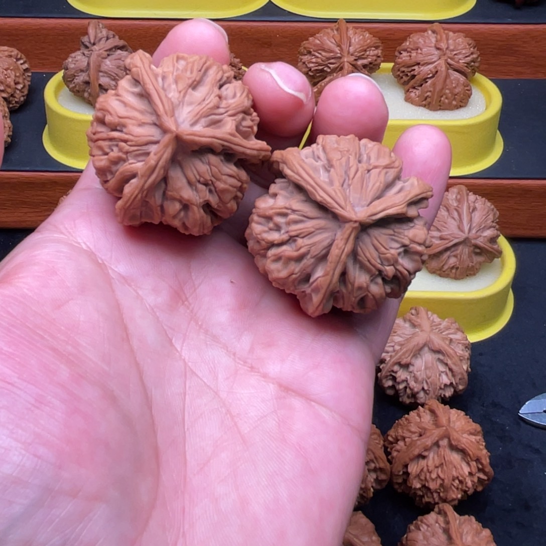 核桃手串/手链邢台元宝三棱全品44