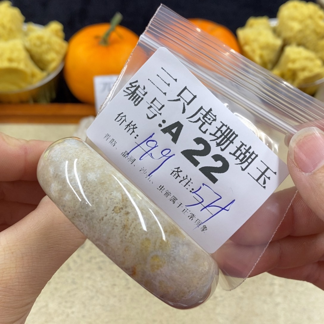 硅化珊瑚（珊瑚玉）1未镶嵌杨*