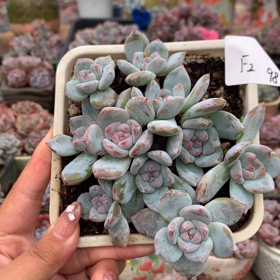 哈哈哈哈哈哈哈哈哈哈哈