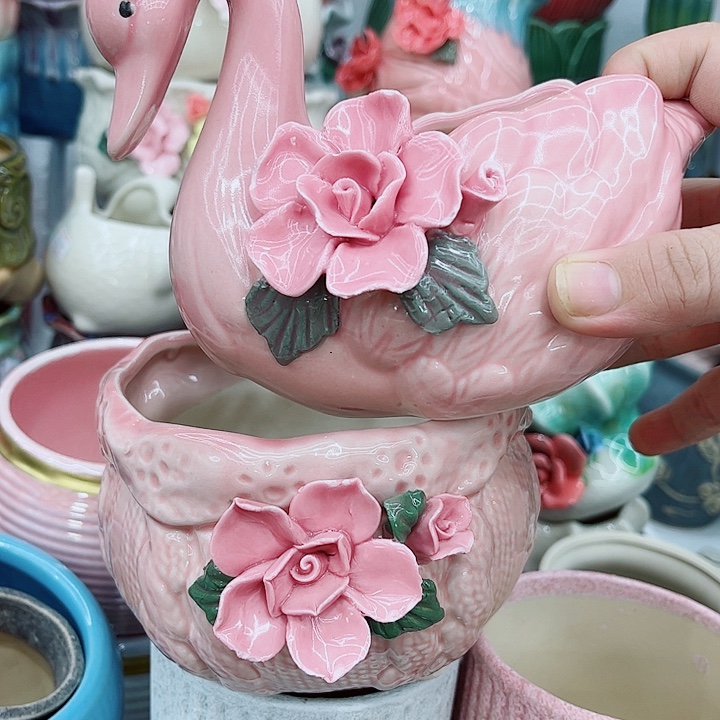 多肉植物陶瓷花盆