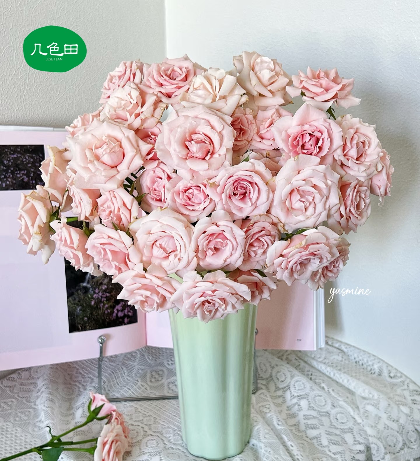 粉玛卡----（把头小介意慎拍）稀有多头玫瑰云南直发鲜花