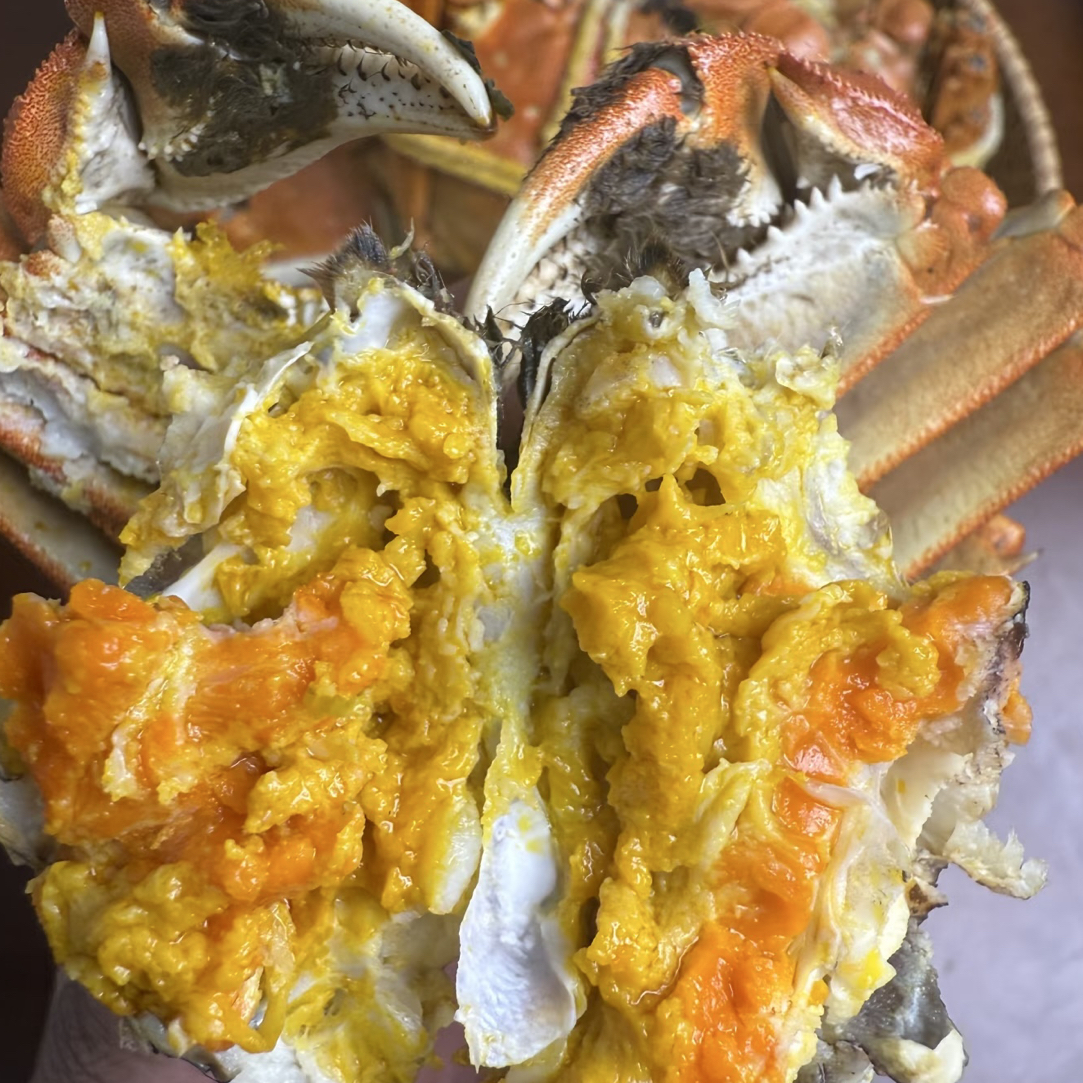 母螃蟹（2.2-2.7）两一只