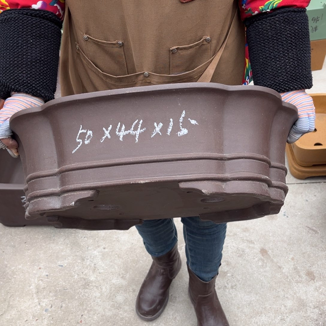 紫砂花盆盆景艺术