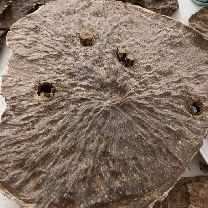 沉香沉香木制品海南沉香177克