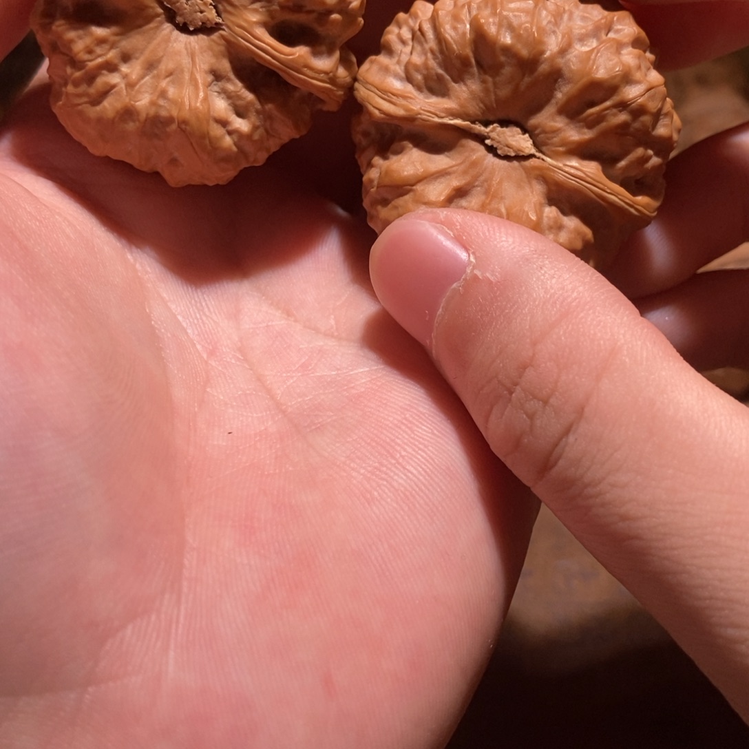 ℡***吊坠文玩核桃蛤蟆头D18