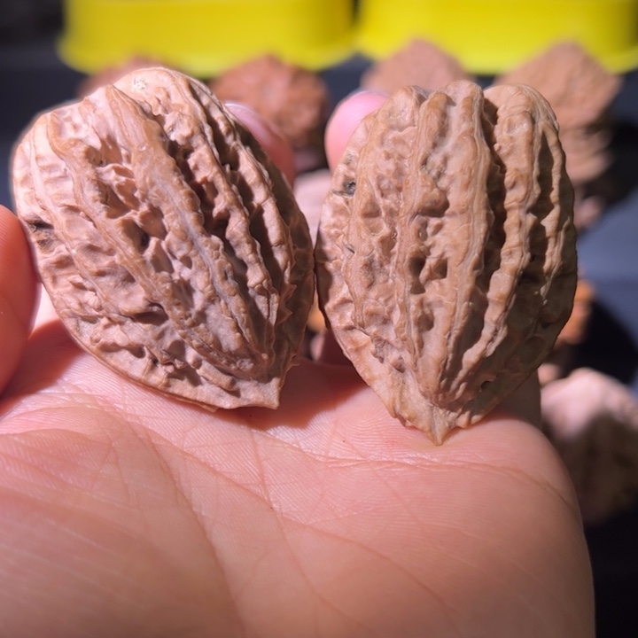 文玩核桃吊坠核桃59W