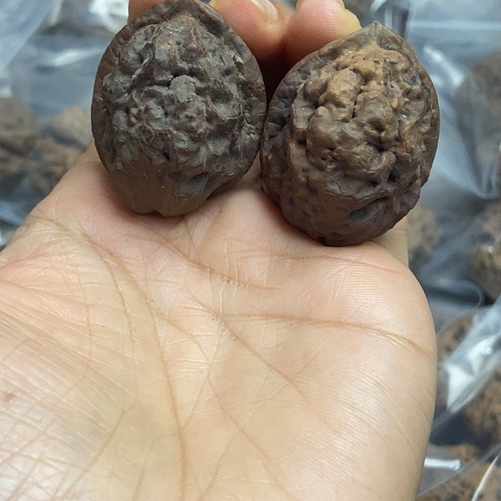 文玩核桃把件云南铁核桃基地48