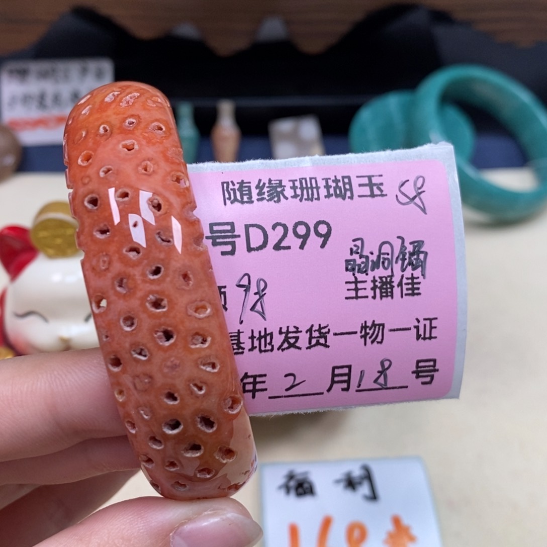 硅化珊瑚（珊瑚玉）D299未镶嵌