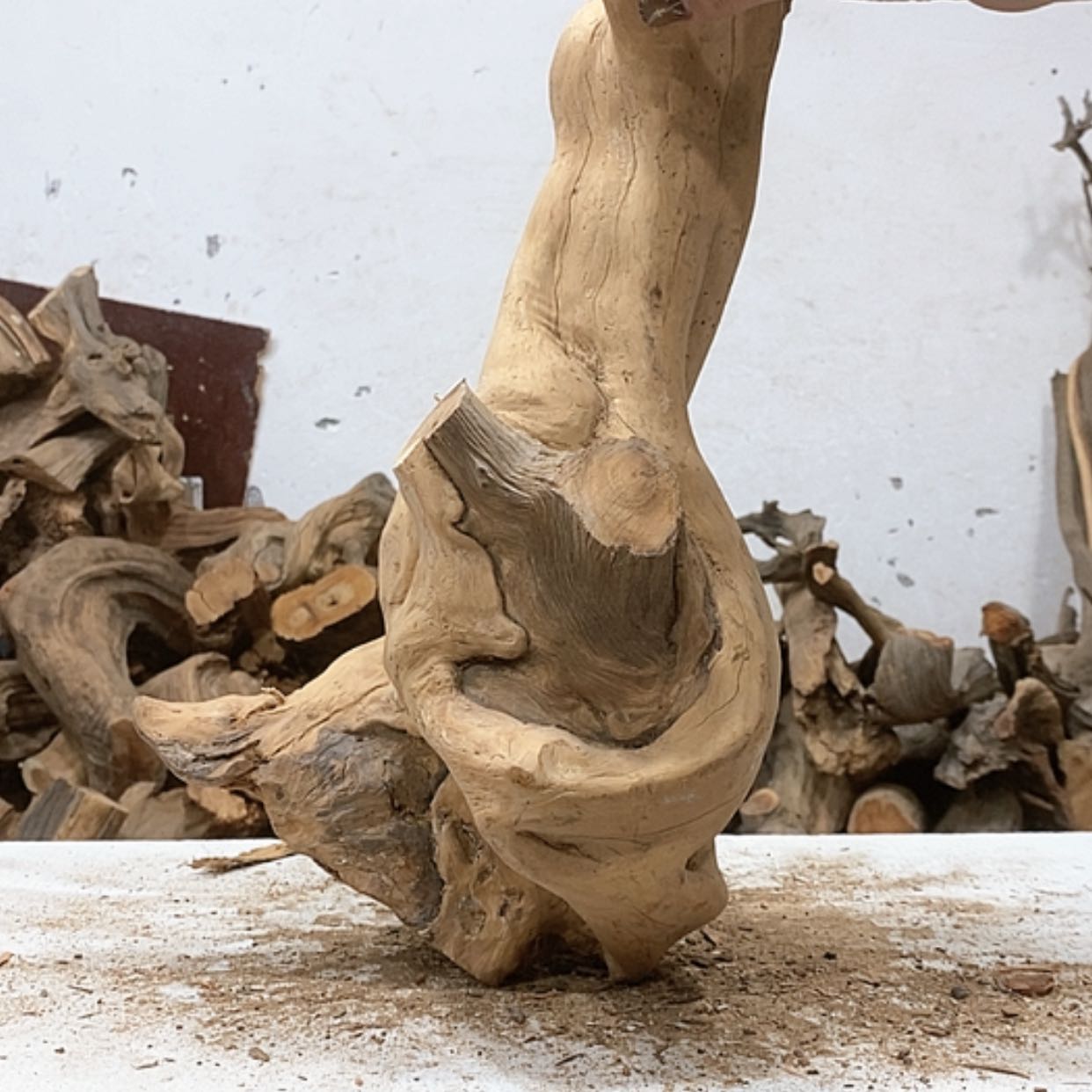 【闪购商品】柏木艺*阁我们都是好孩子