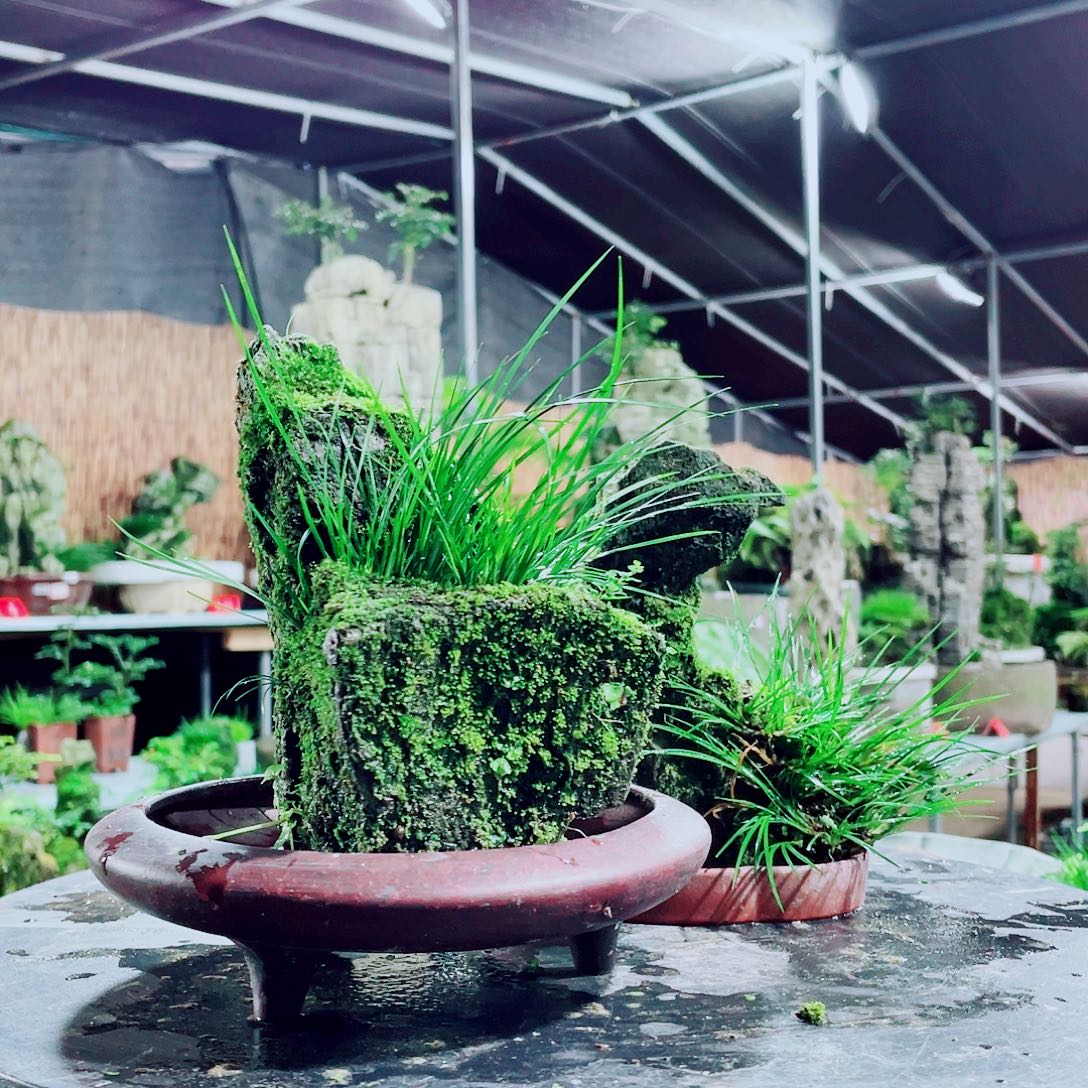 简***单无花朵我不敢给别人发短信的