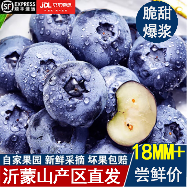 【花香蓝莓】大果18+花青素水果脆甜爆汁新鲜采摘当日发货送货上门