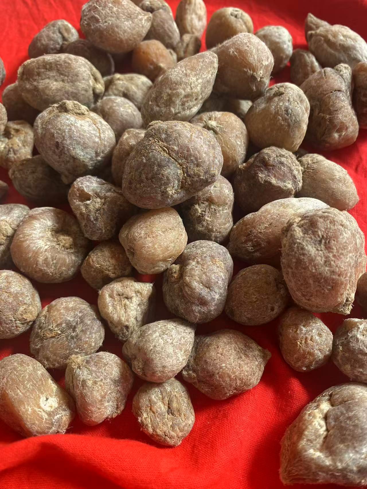 云南深山传统滋补 农产品 九转还阳参泡酒包邮