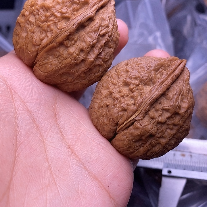 文玩核桃把件   32