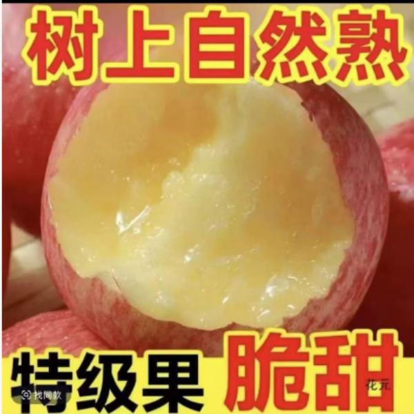 正宗红富士苹果新鲜当季应季水果脆甜多汁皮薄肉厚带箱5斤和10斤
