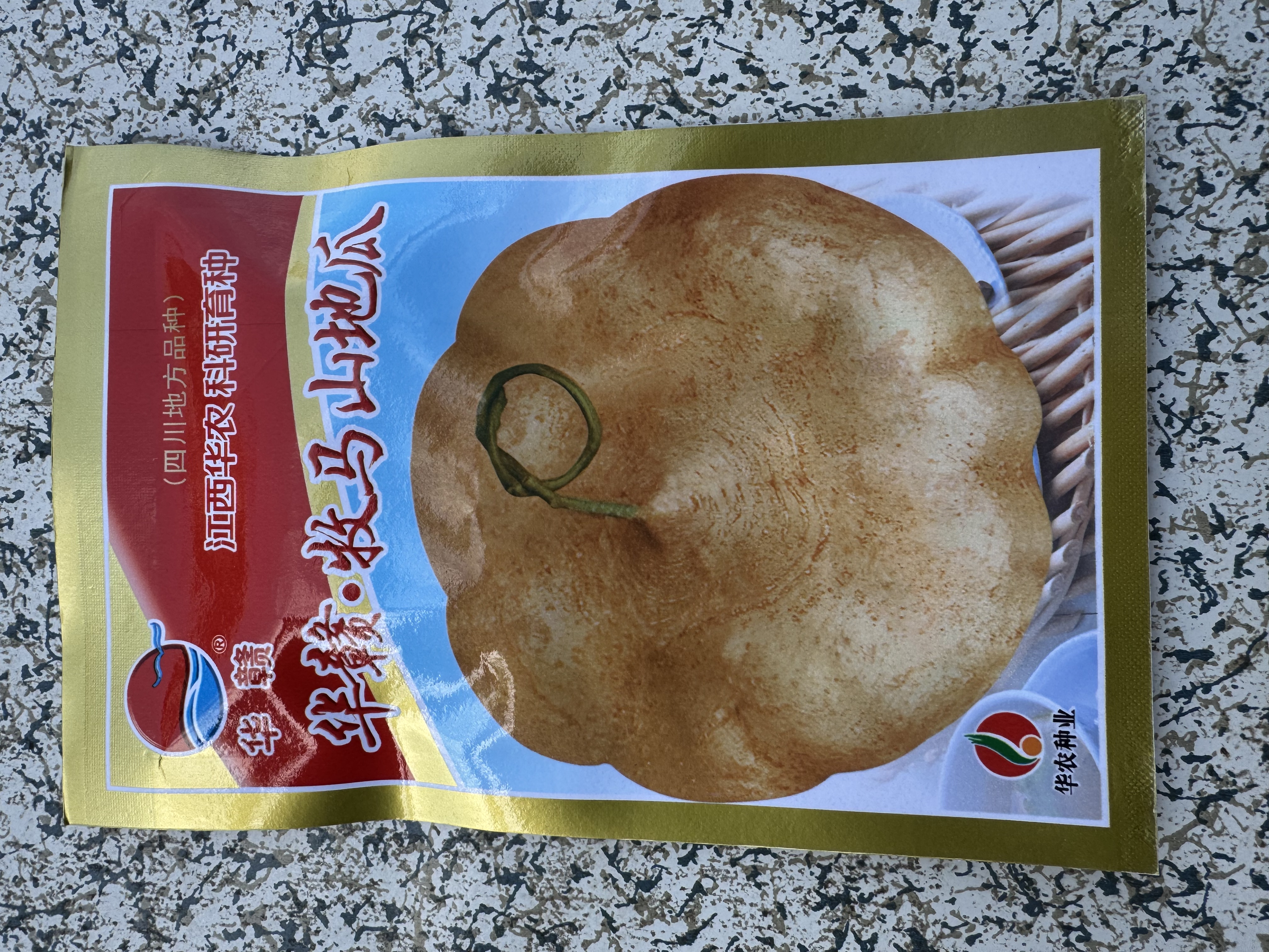 春季种植牧马山地瓜