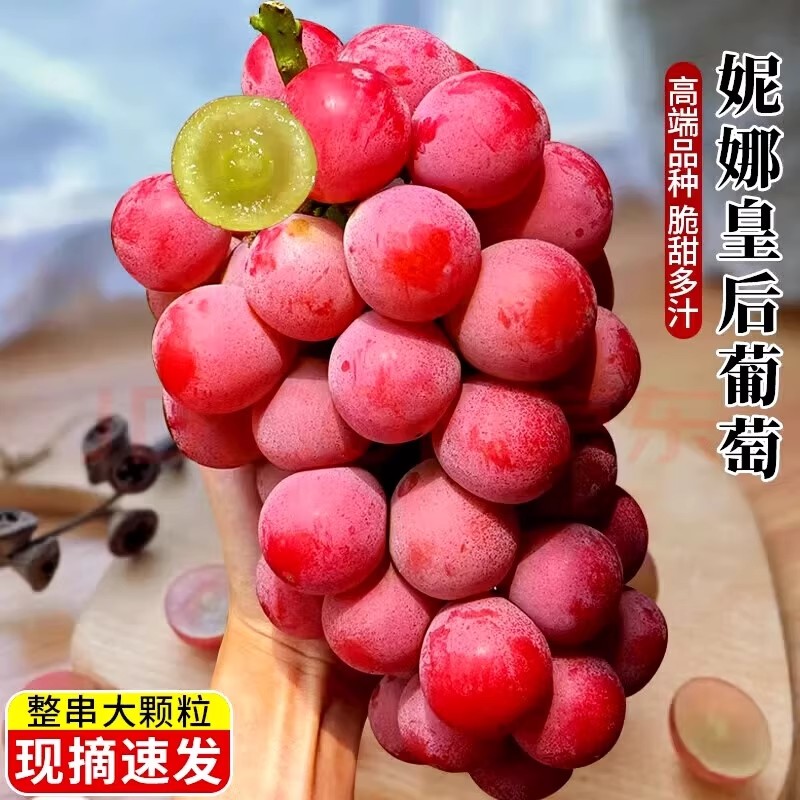 [树上拉菲S级】妮娜皇后葡萄新鲜水果无籽包邮红酒香+花香+果香