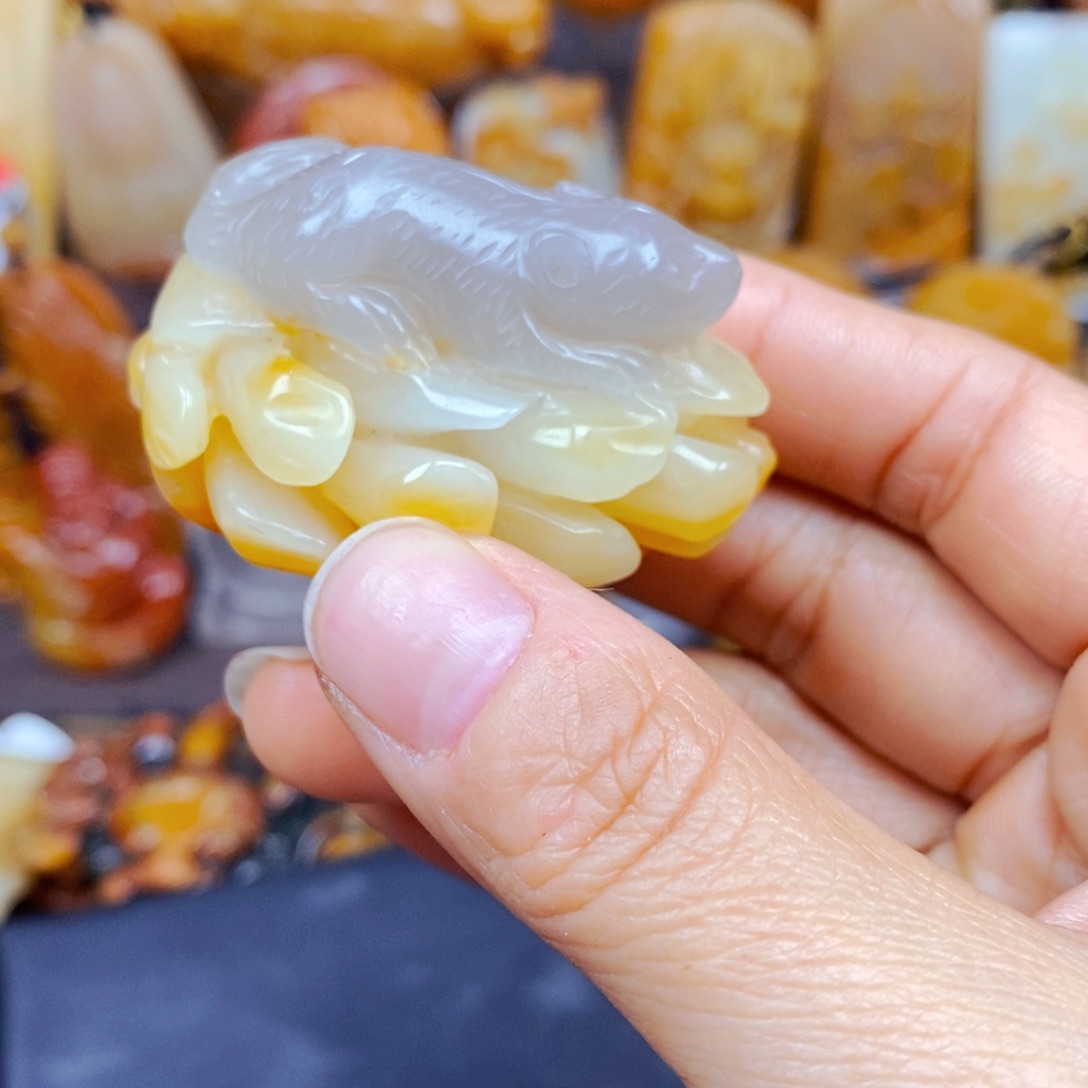 石英质玉（黄龙玉）颈饰未镶嵌