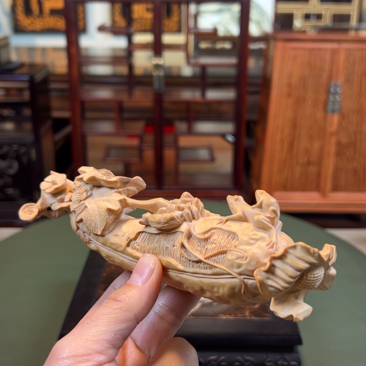 【闪购商品】黄杨木其他黄杨木