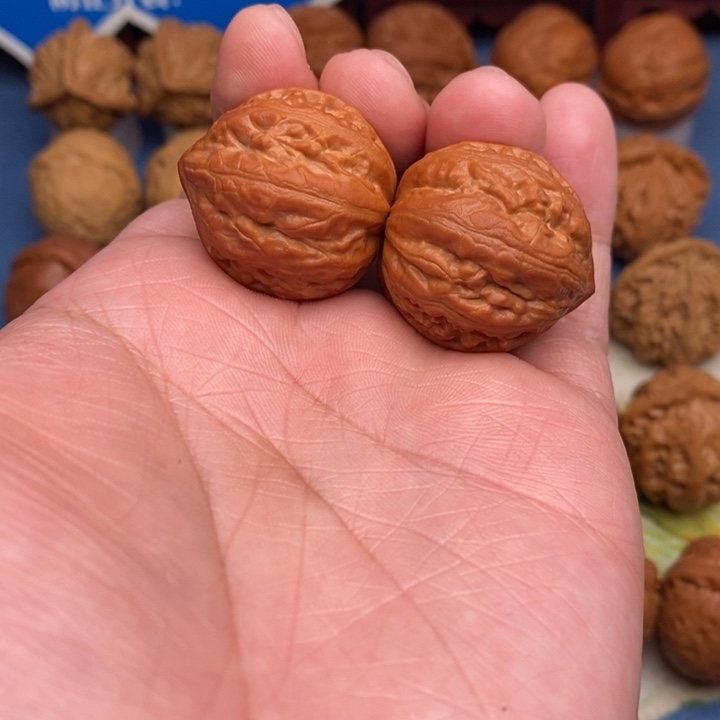 文玩核桃把件肉龙