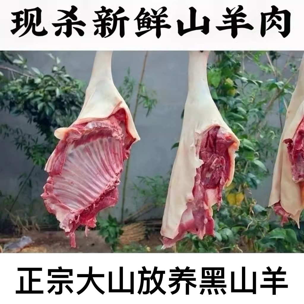 热鲜羊肉正宗散养黑山羊肉69.9/斤